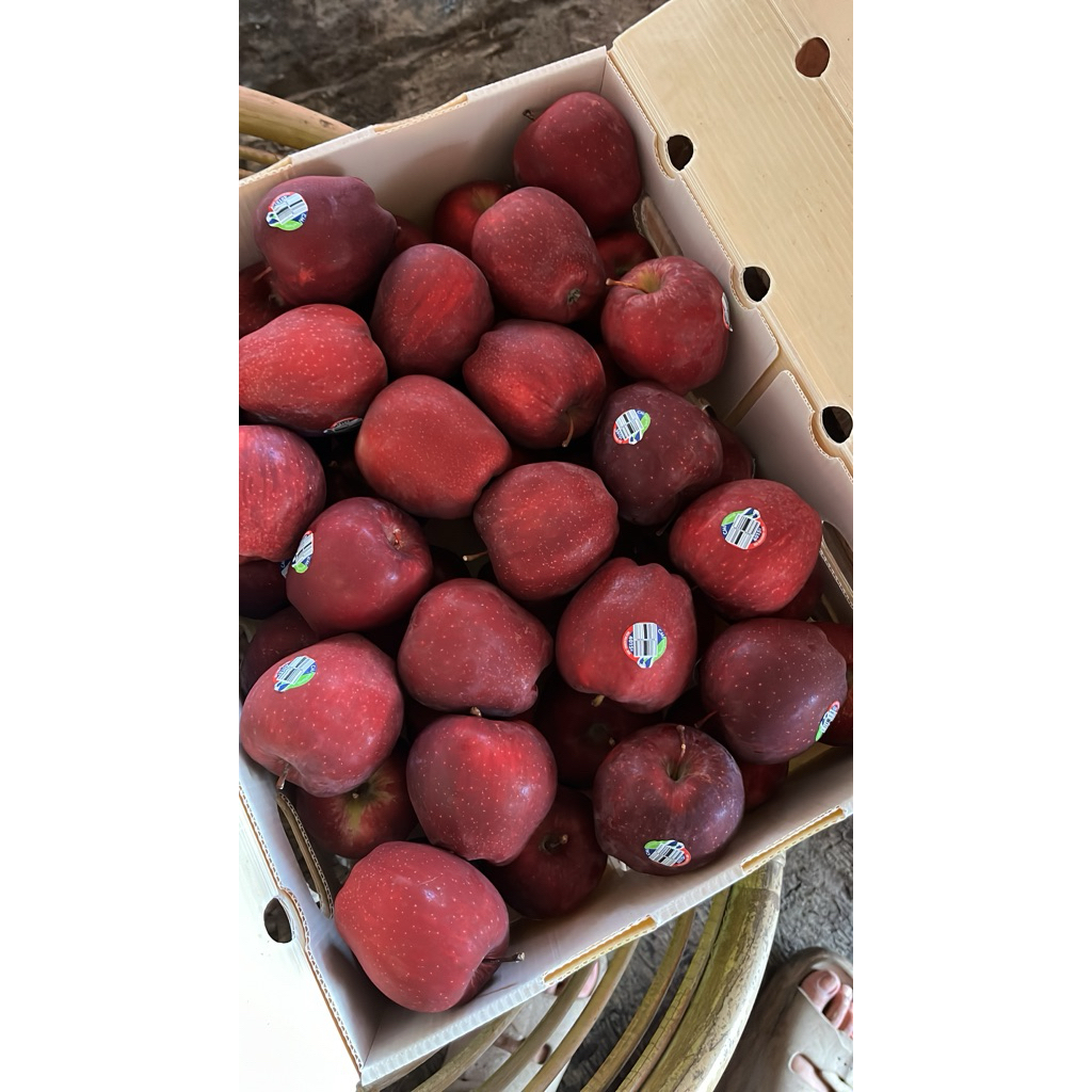 

Apel Washington 1 kg