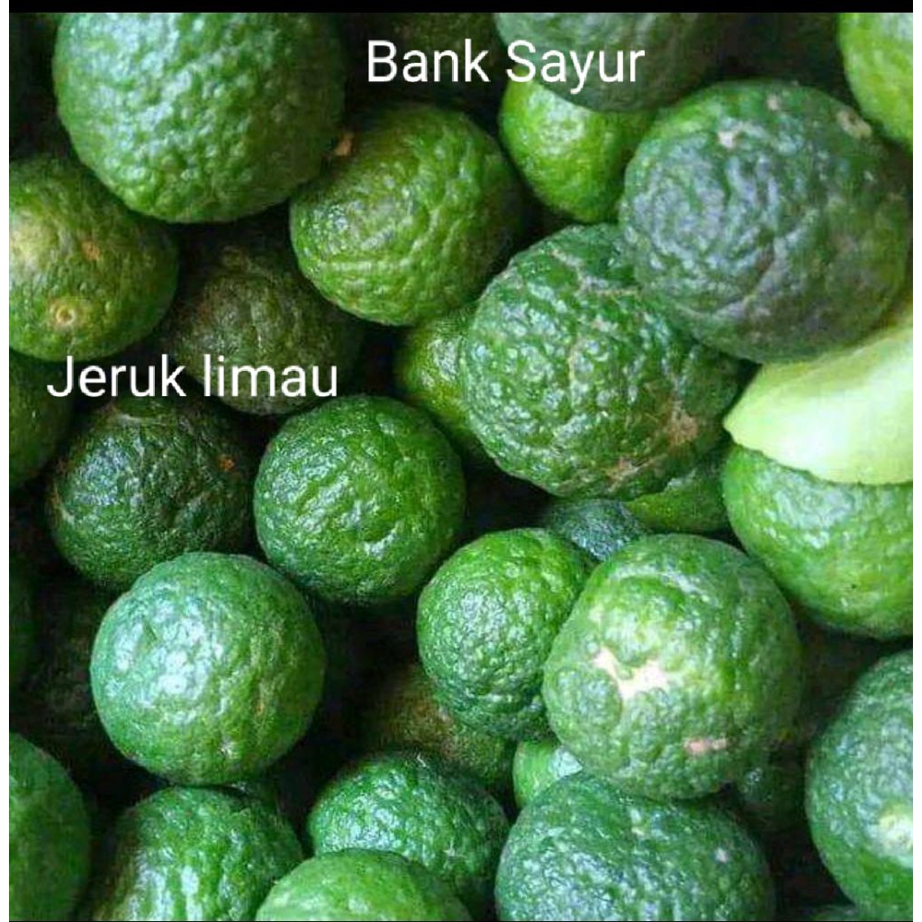 

Jeruk Limau / Jeruk Sambal