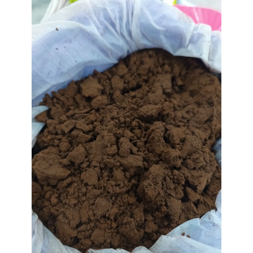 

bubuk kopi robusta 100% original dari Bondowoso