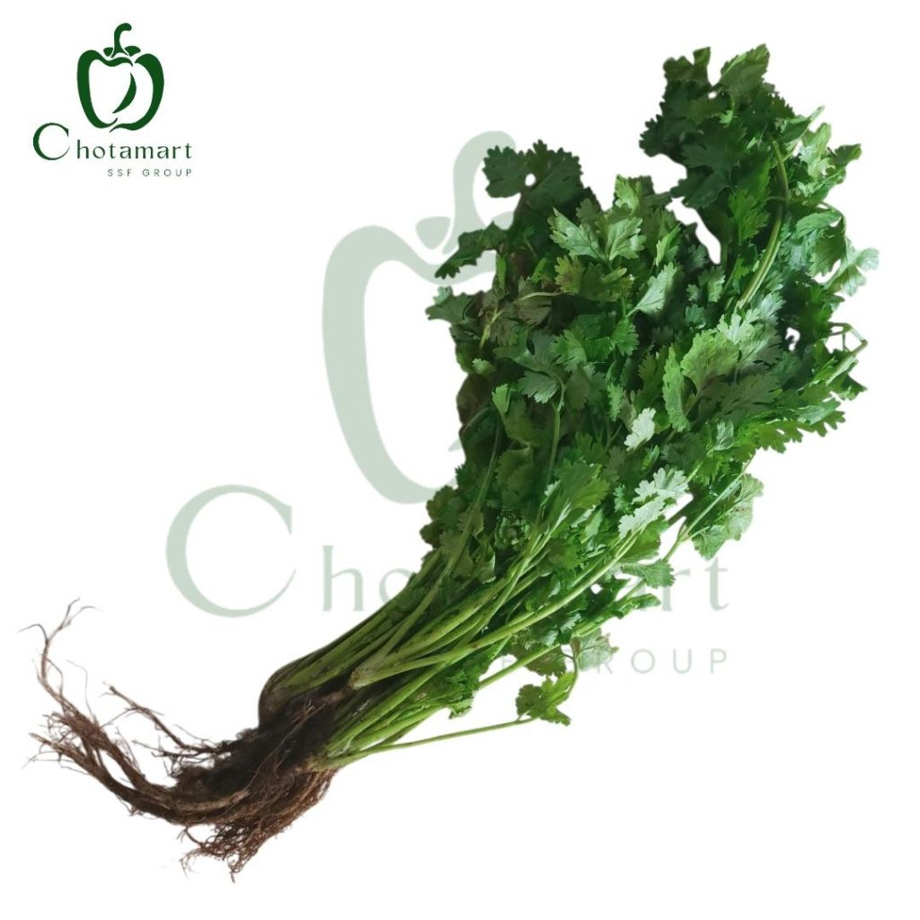 

Daun Ketumbar 100-150g