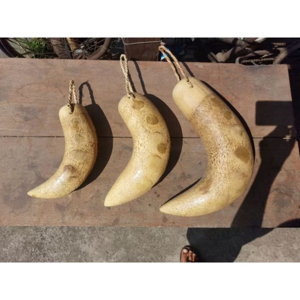 kentongan akar bambu bisa Cod