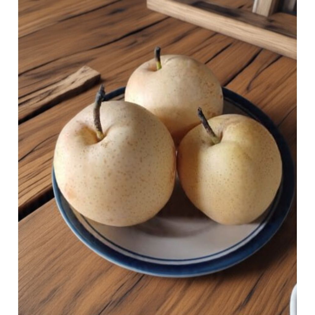 

Buah pir manis 1000gr murah lokal/impor