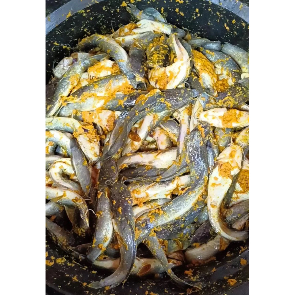 Lele Ungkep Frozenfood