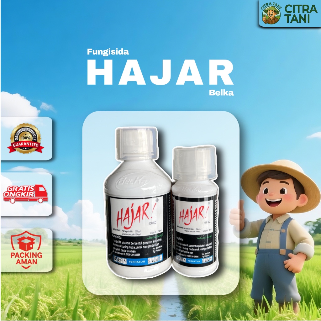 HAJAR 400 SC – Fungisida Sistemik | Cegah Busuk Daun & Antraknosa