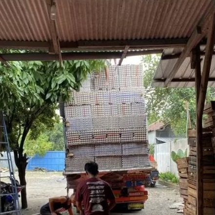 Egg Tray ayam/bebek bahan karton bekas pakai