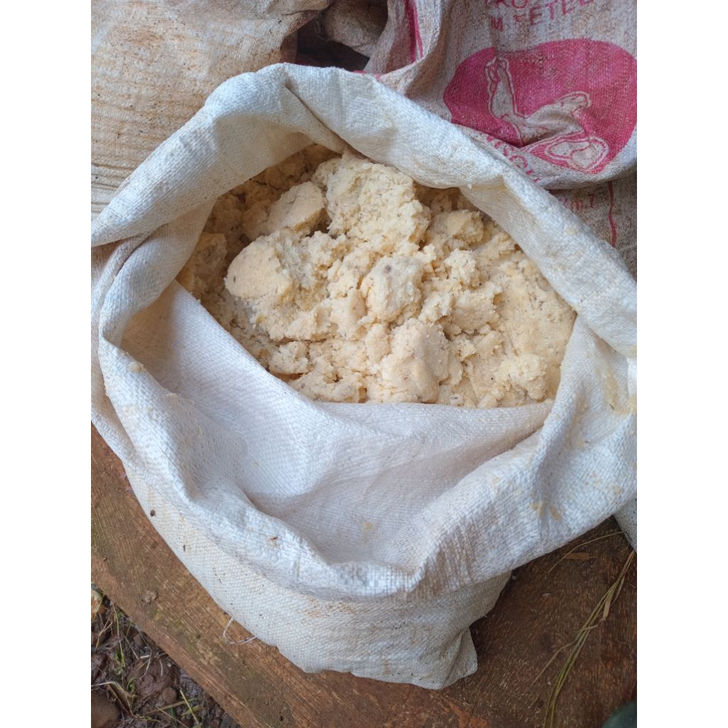 ampas tahu basah 1kg