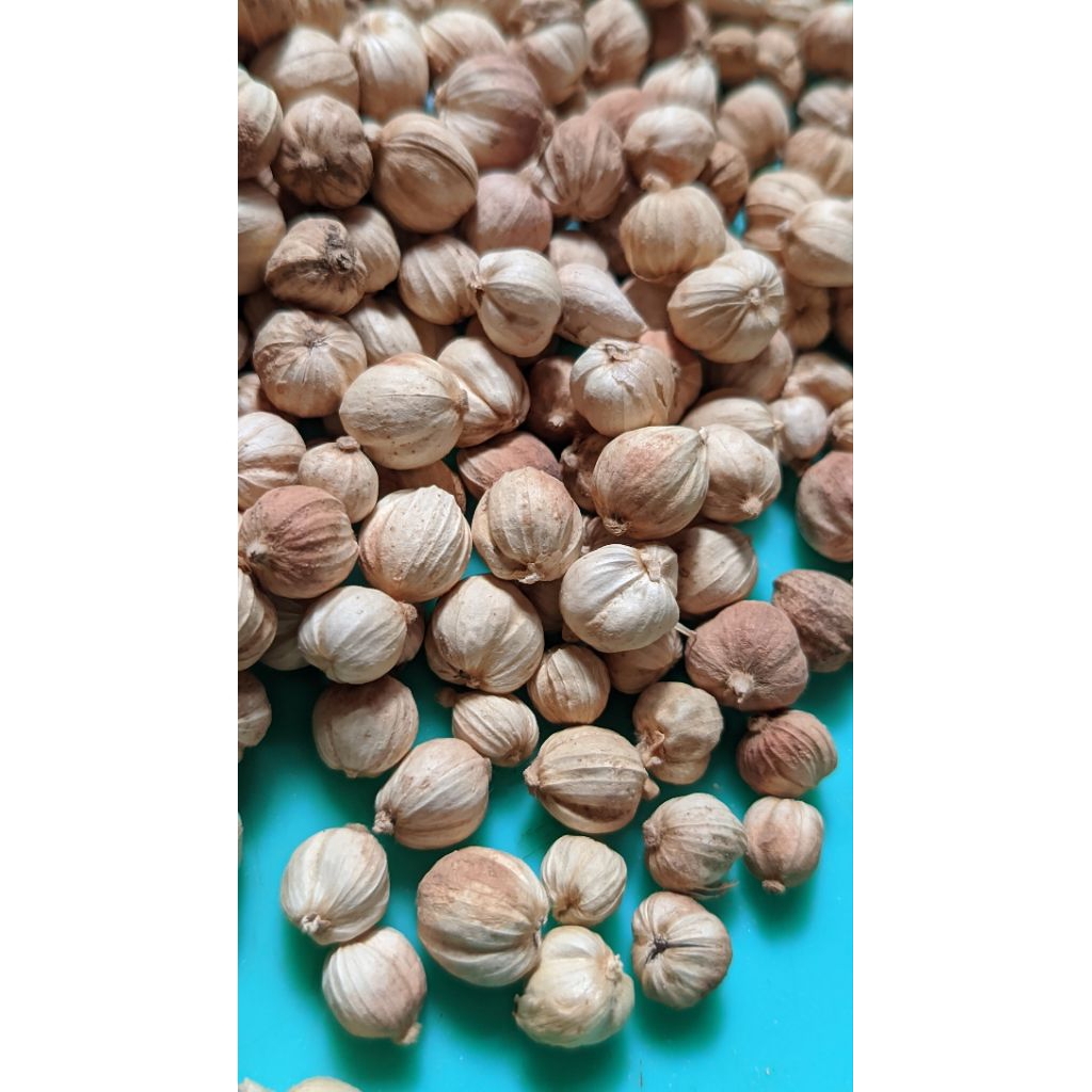 

Kapulaga Kering 500gram dan1 kilogram