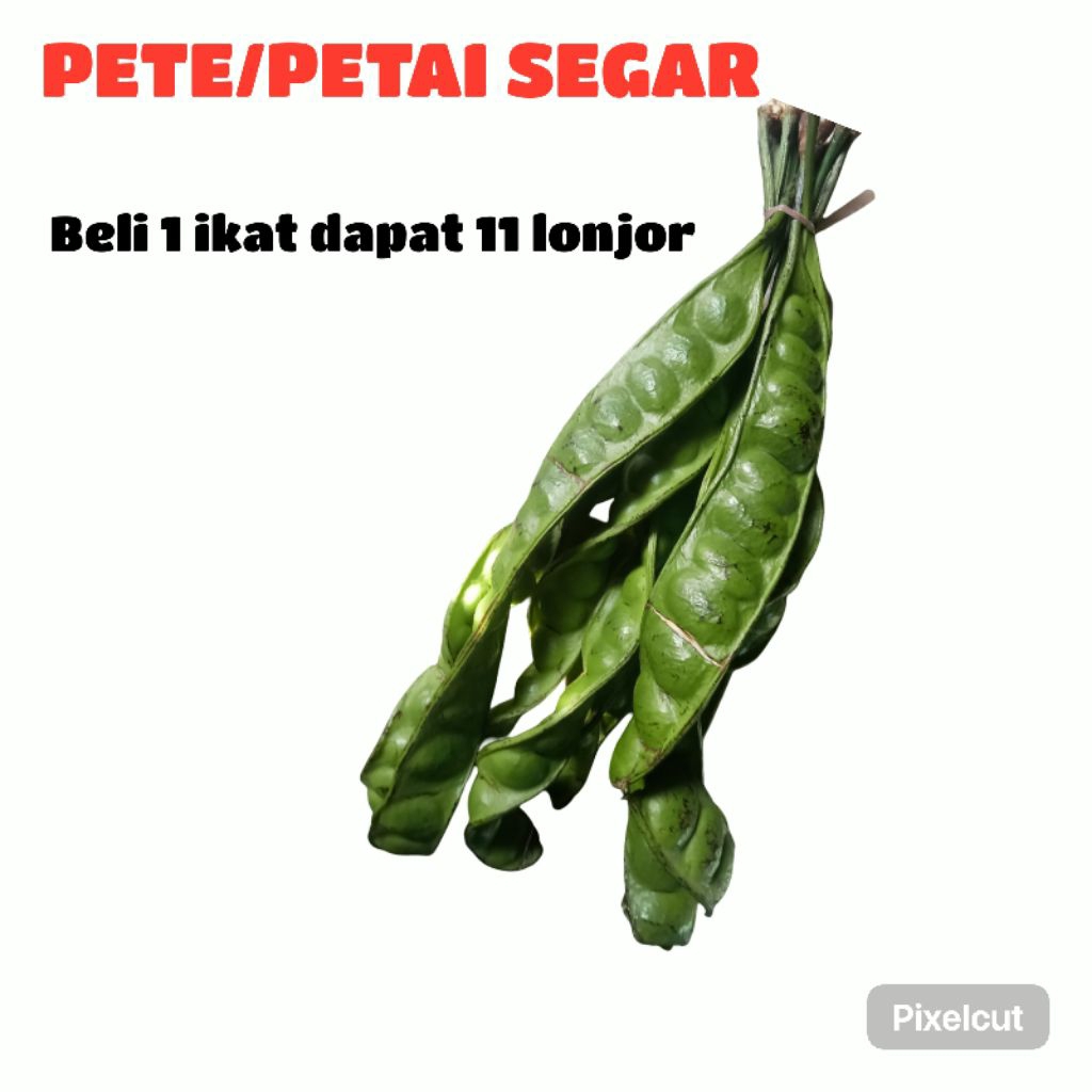 

Pete/petai Segar Tua 1 ikat isi 11 lonjor/Petai padi petai jawa/pete gunung/pete padi