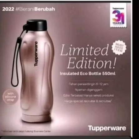 Insulated eco bottle 500ml tupperware