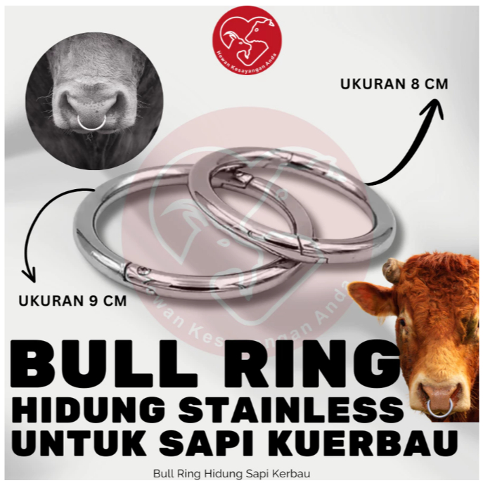 Bull Ring Cincin Hidung Sapi Kerbau Lembu