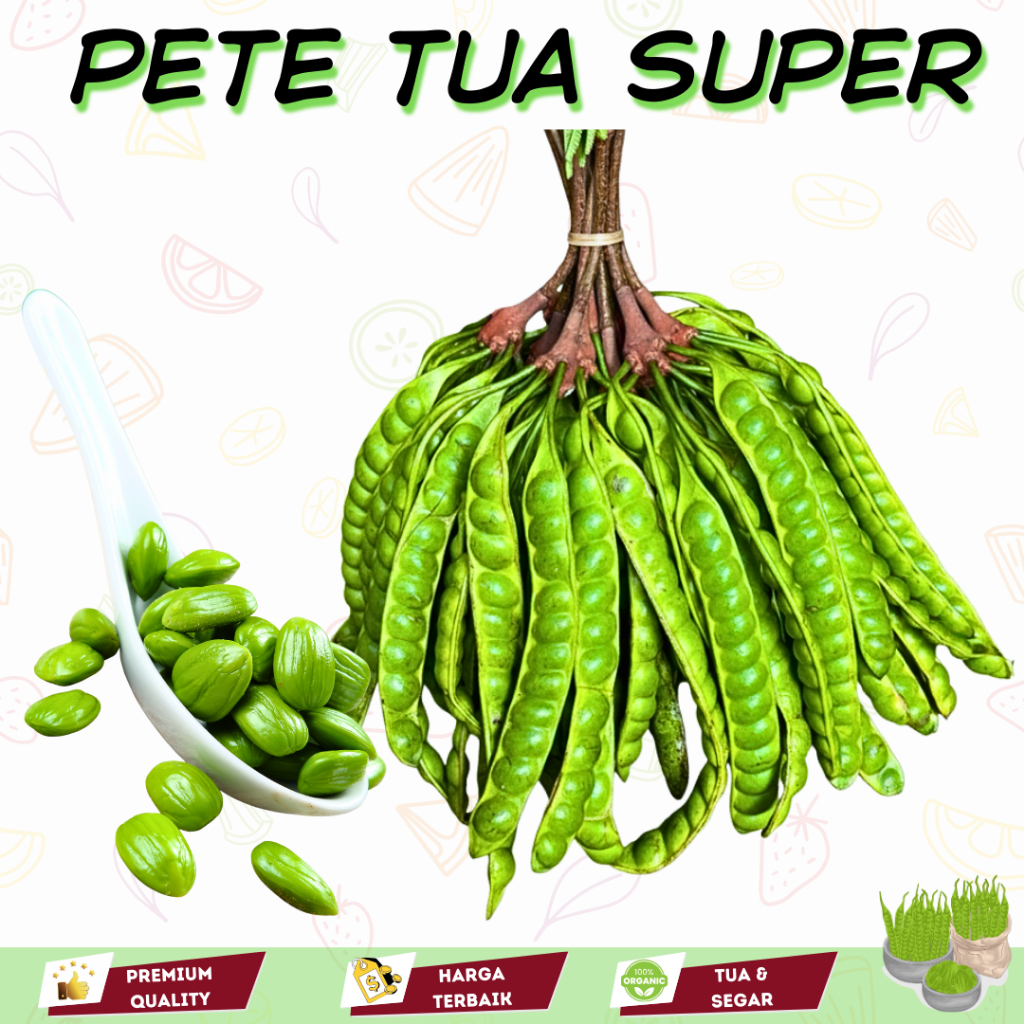 

Petai Pete Tua SUPER 1 Ikat isi 10 Papan Lonjor - Pete Padi Segar Pilihan High Quality