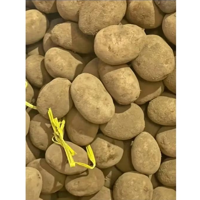 

Kentang Fresh Berat 1Kg, Produk Asli Petani Lokal KOTA BATU JATIM