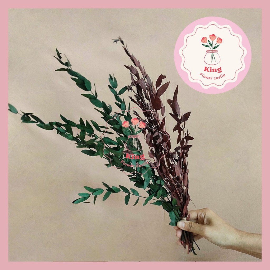 Preserved Gunni Eucalyptus Daun Kering Dekorasi Rumah