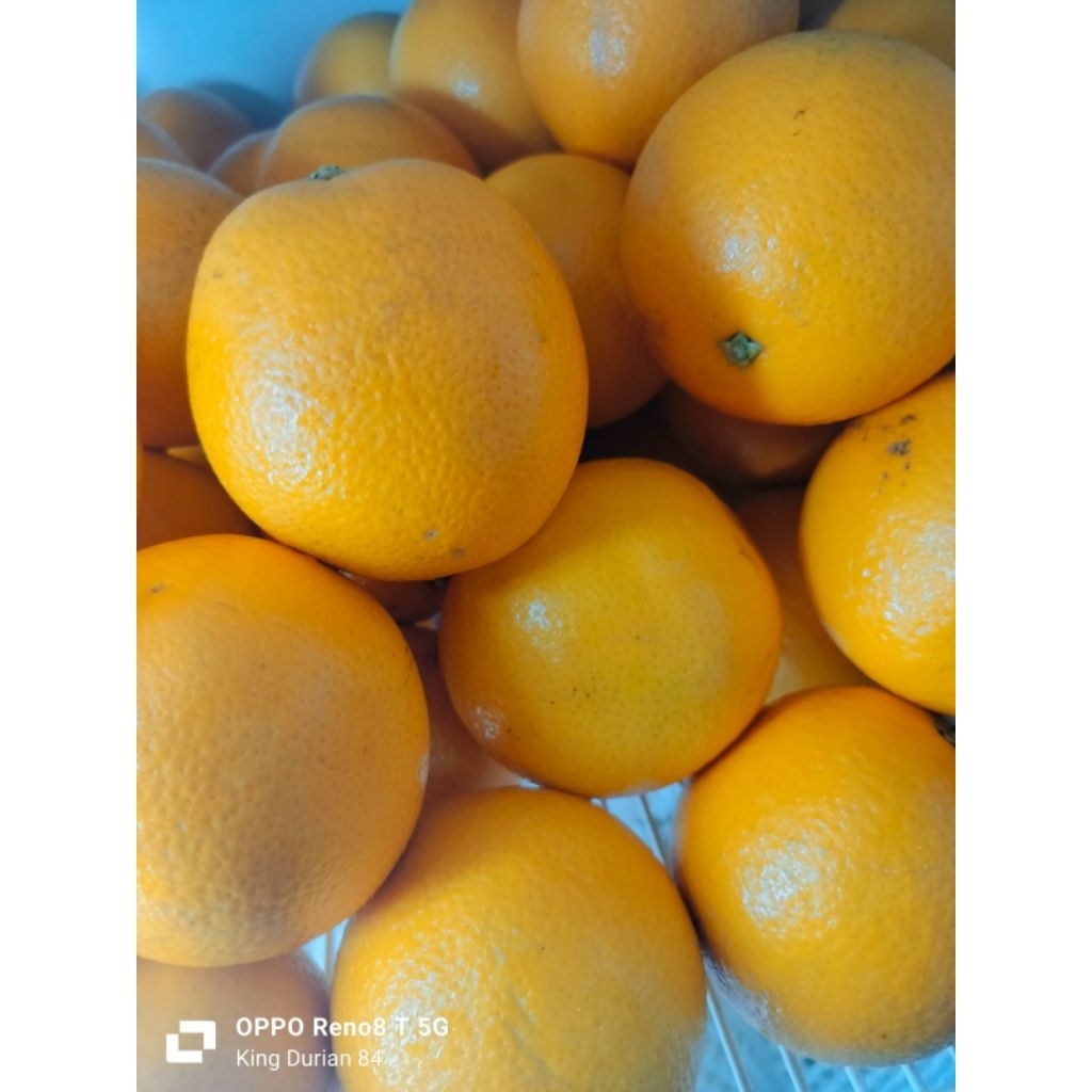 

Jeruk Import Sunkist