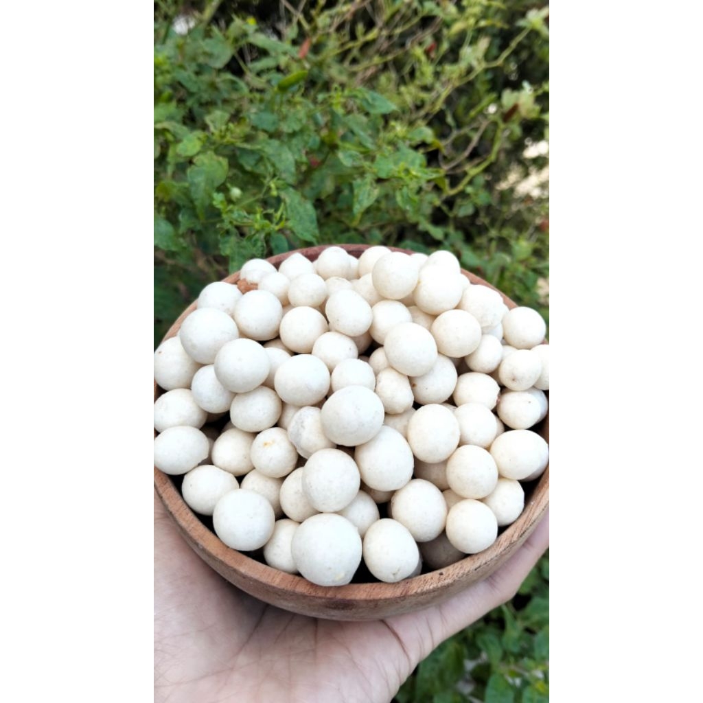 

Kacang sukro kemasan ecer