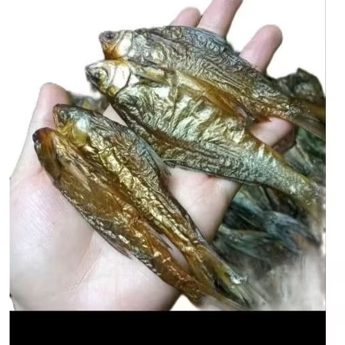 IKAN SALAI MOTAN KHAS RIAU