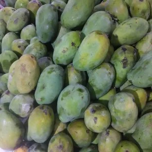 

mangga harum manis (kecil-matang) 500g