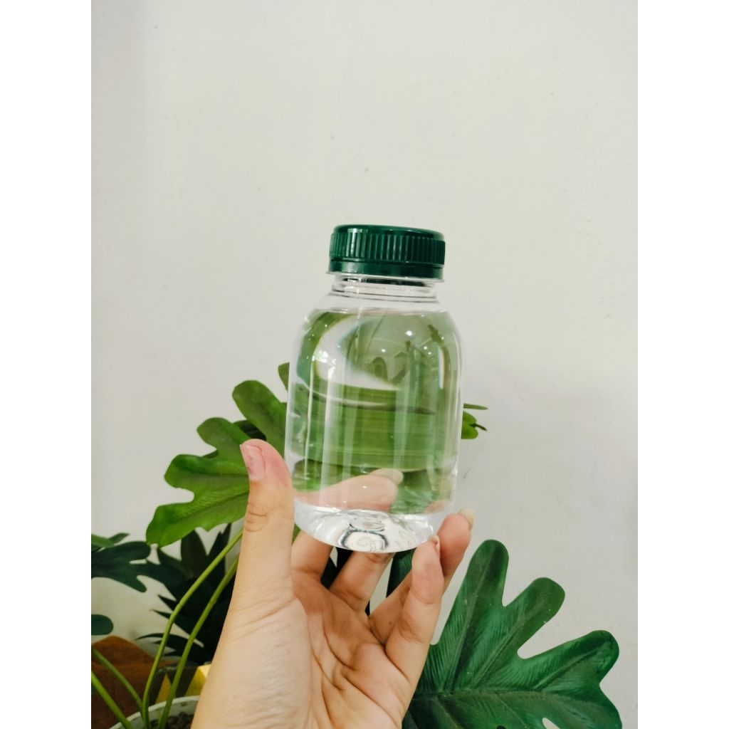 BOTOL KALE CHUBBY BOTOL KALE GENDUT 250ML BOTOL KALE TEBAL