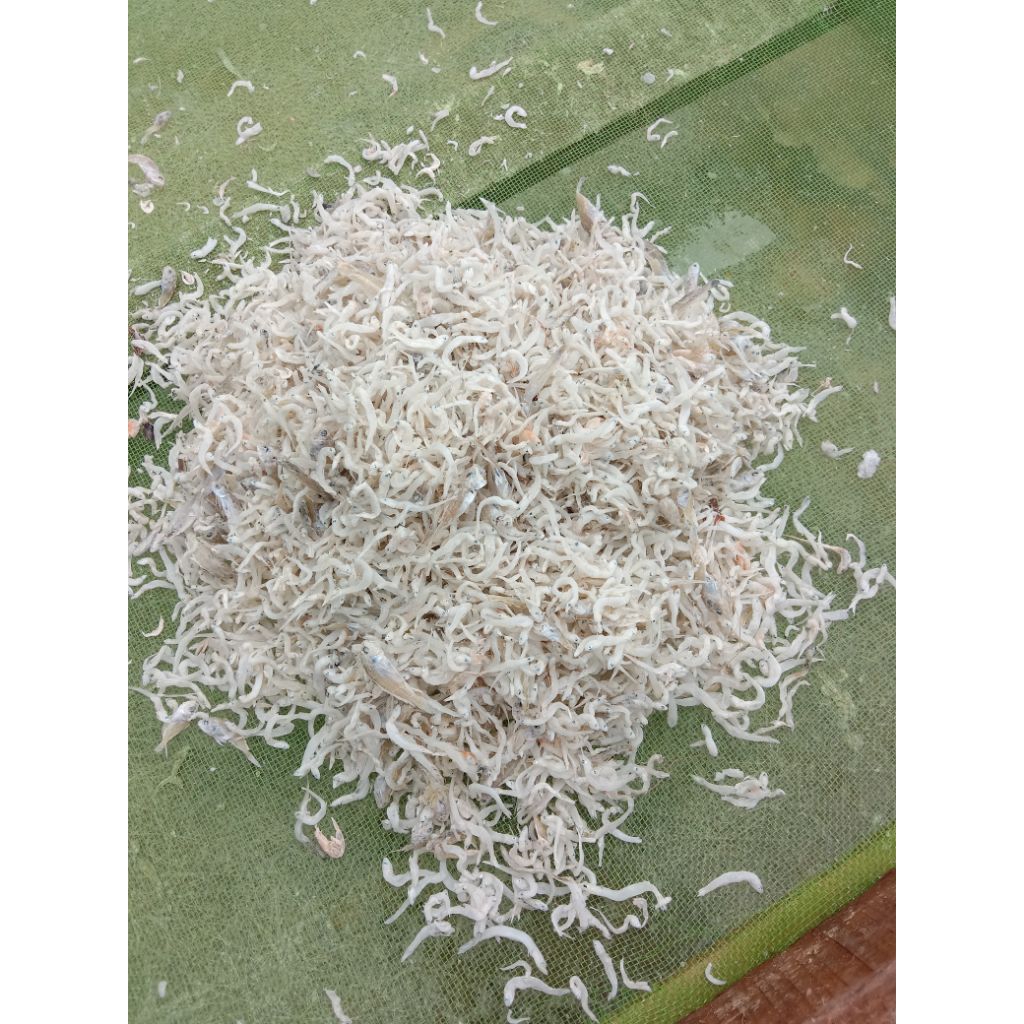 

ikanasinterinasiteritogeterimedan