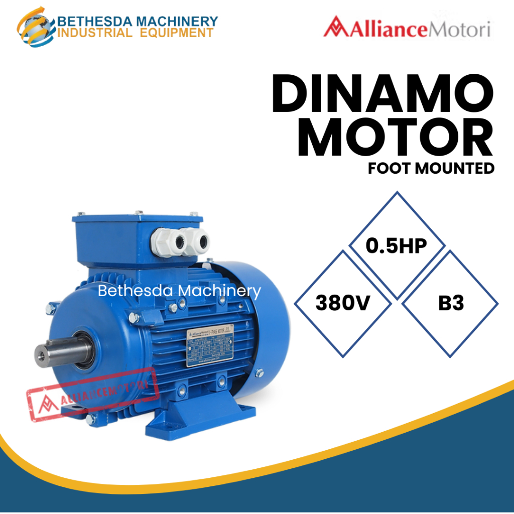 Dinamo Alliance 0.5 HP 370 Watt 3 Phase Foot Mounted