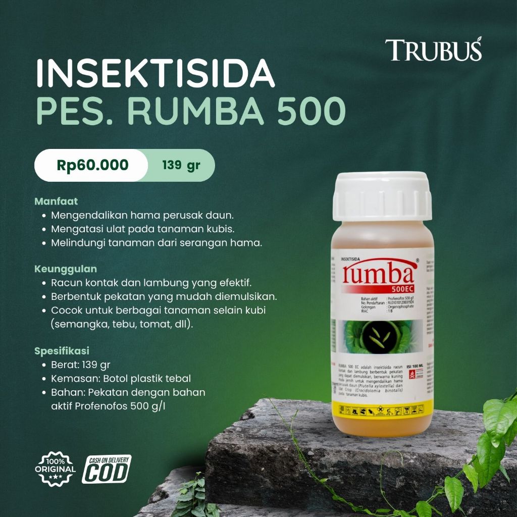 INSEKTISIDA RUMBA UNTUK TANAMAN KUBIS - TRUBUS GREEN