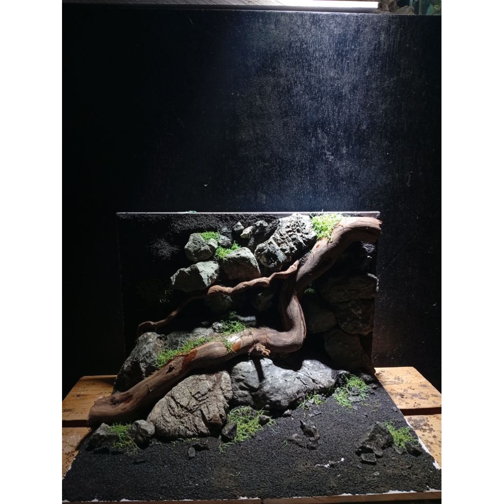 hardscape aquascape