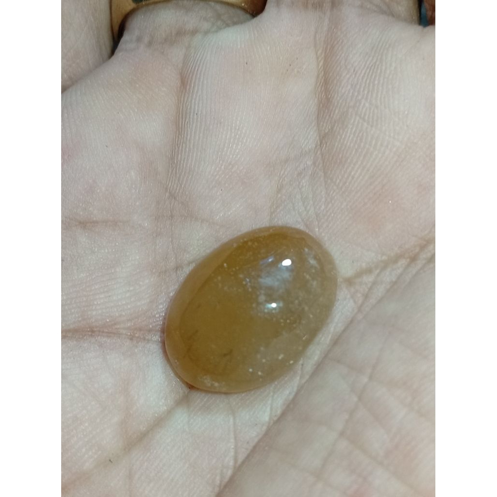 akik anggur sisik kura-kura