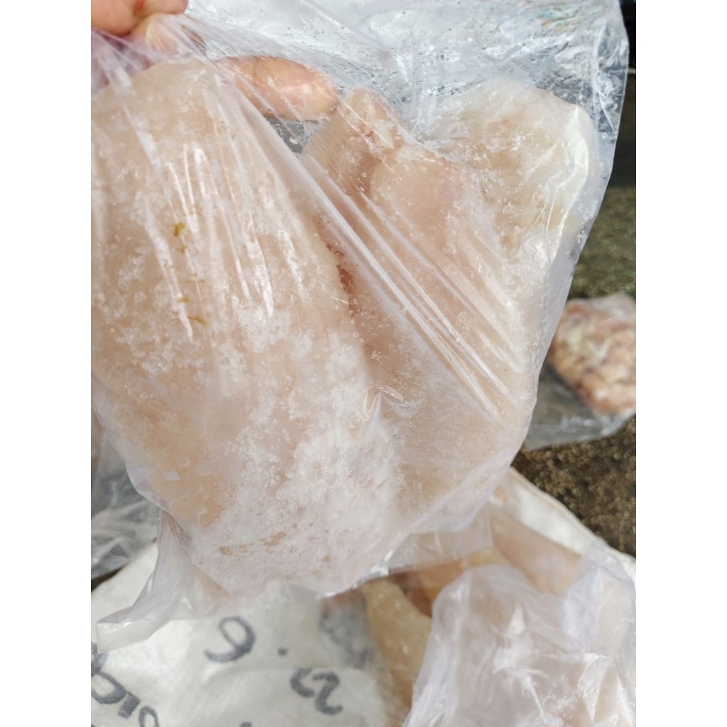 

ikan dori filet dagingnya saja