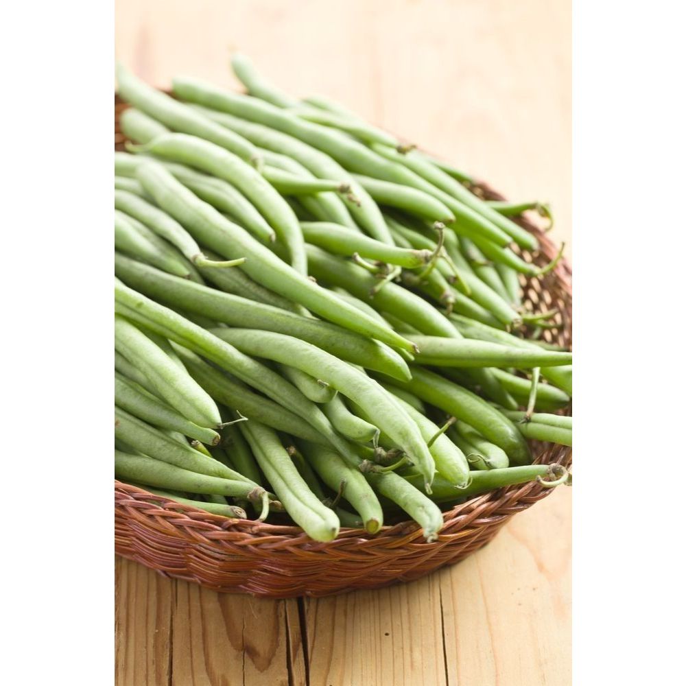 

Buncis 1kg Fres Dari Petani