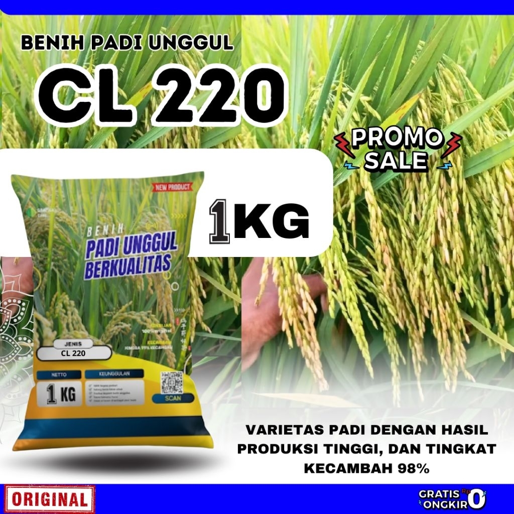 BENIH PADI UNGGUL CL 220 KEMASAN 1KG