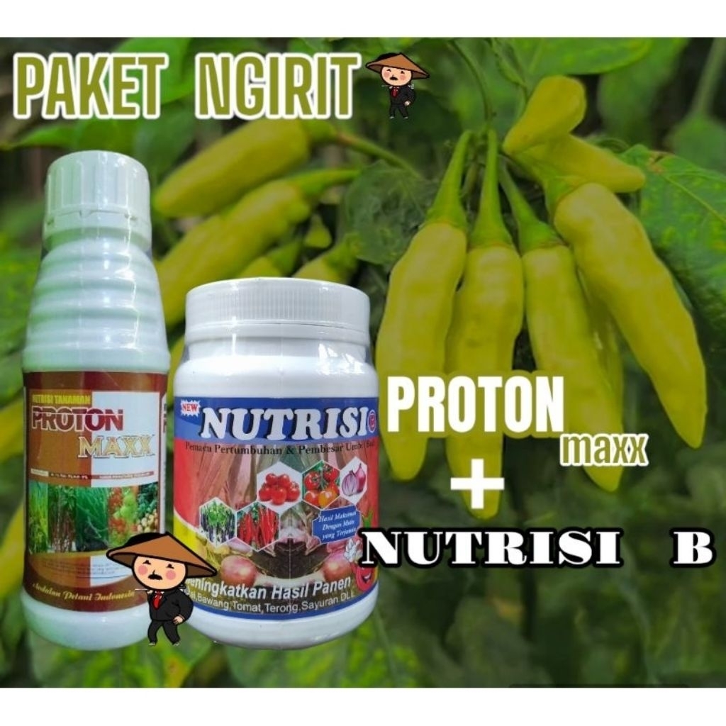 PROTON MAXX 500 ML + NITRISI B