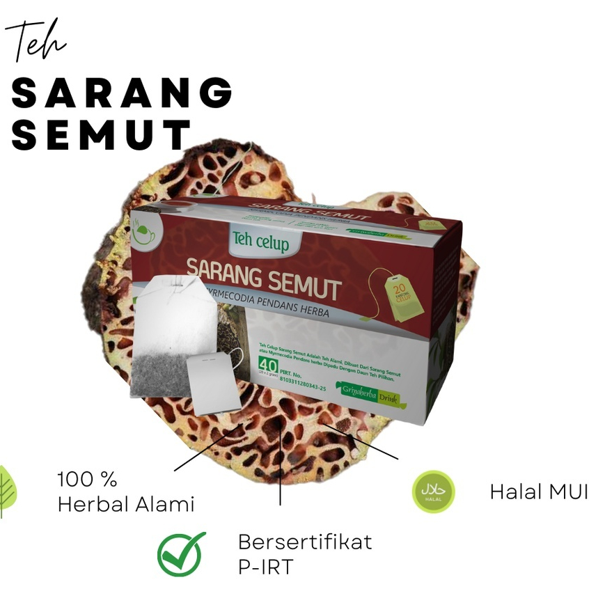 

Teh Celup Herbal Sarang Semut Griya Herba 20 Kantong Anti Kanker Rematik Asam Urat