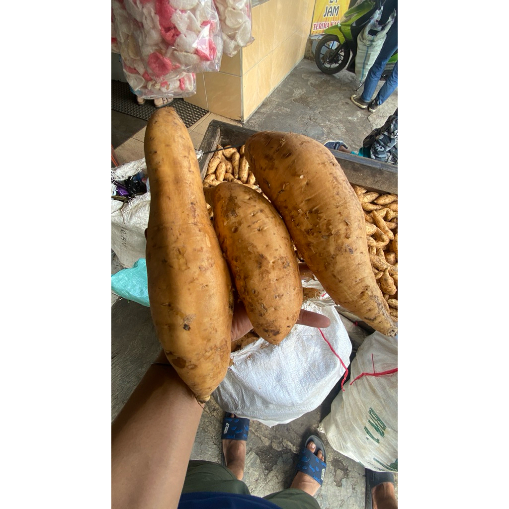 Ubi cilembu asli /kilo ,ubi simadu cilembu asli kabupaten sumedang, Ubi bakar cilembu mentah layu si