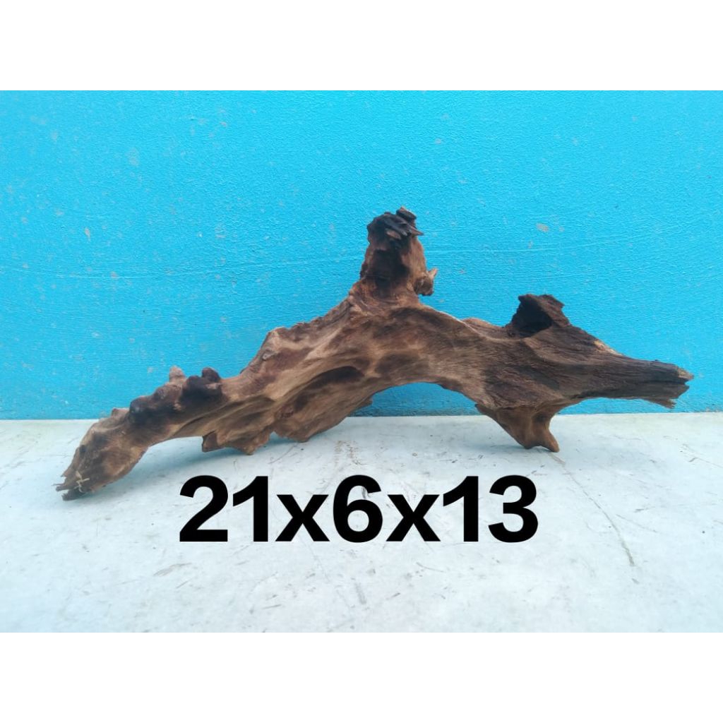 kayu rentek aquarium tenggelam