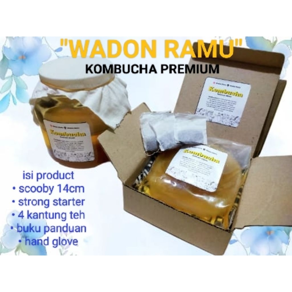 

kombucha paket premium