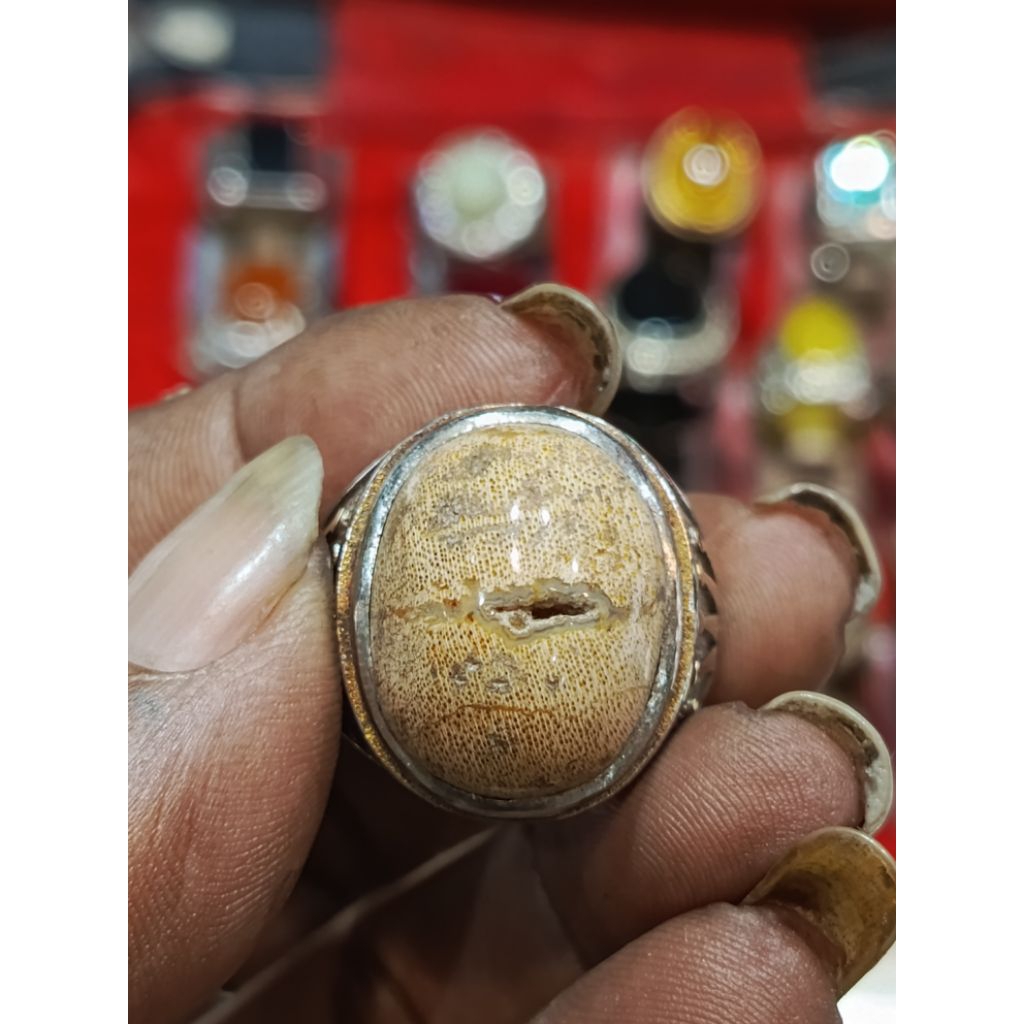 batu porsil galih kelor combong antik langka asli alam super mewah ikat titanium anti gatel karat