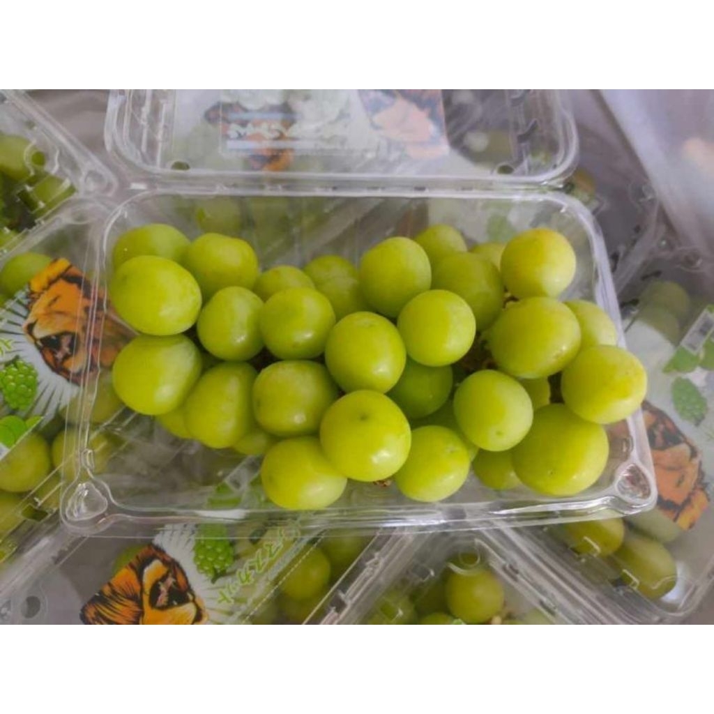 

anggur shine Muscat pack 500gr