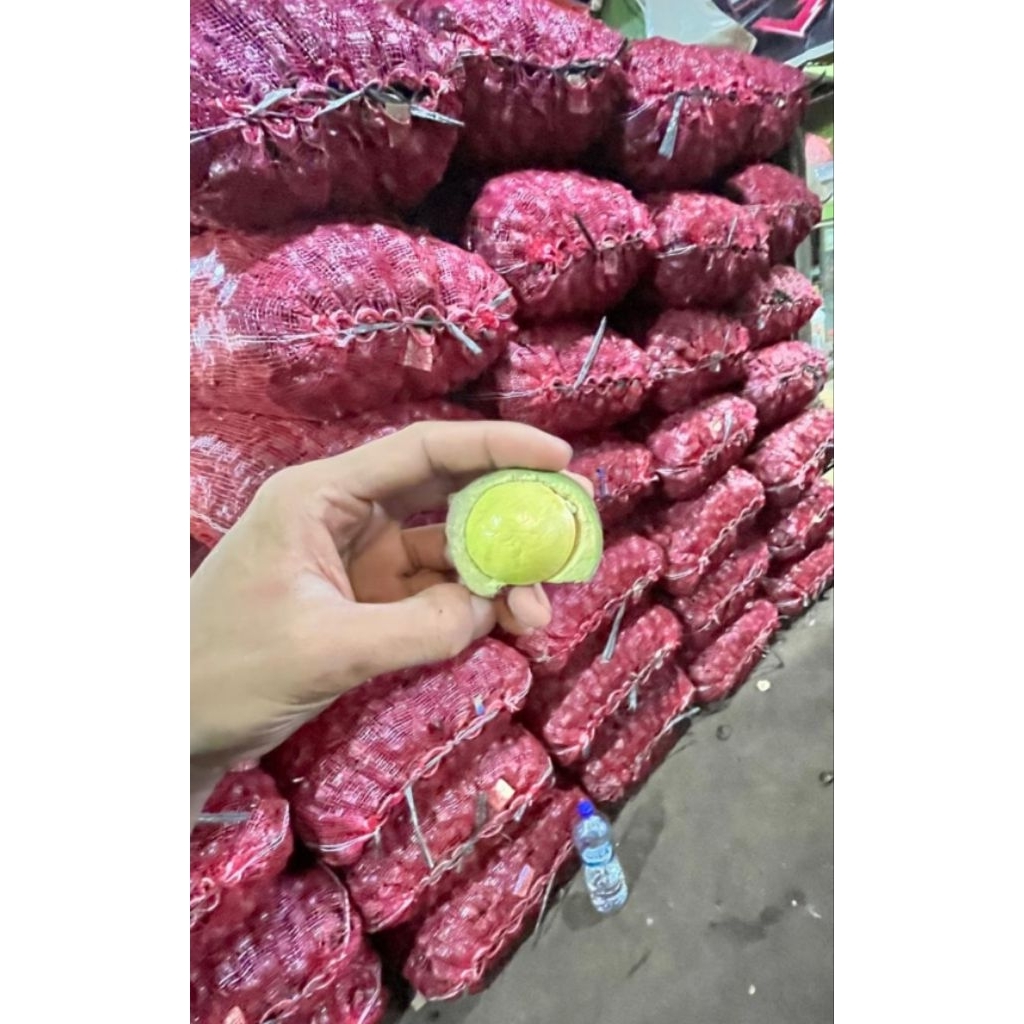 

Jengkol cangkang / Muda ( JM)buat lalapan 1kg 1000grm