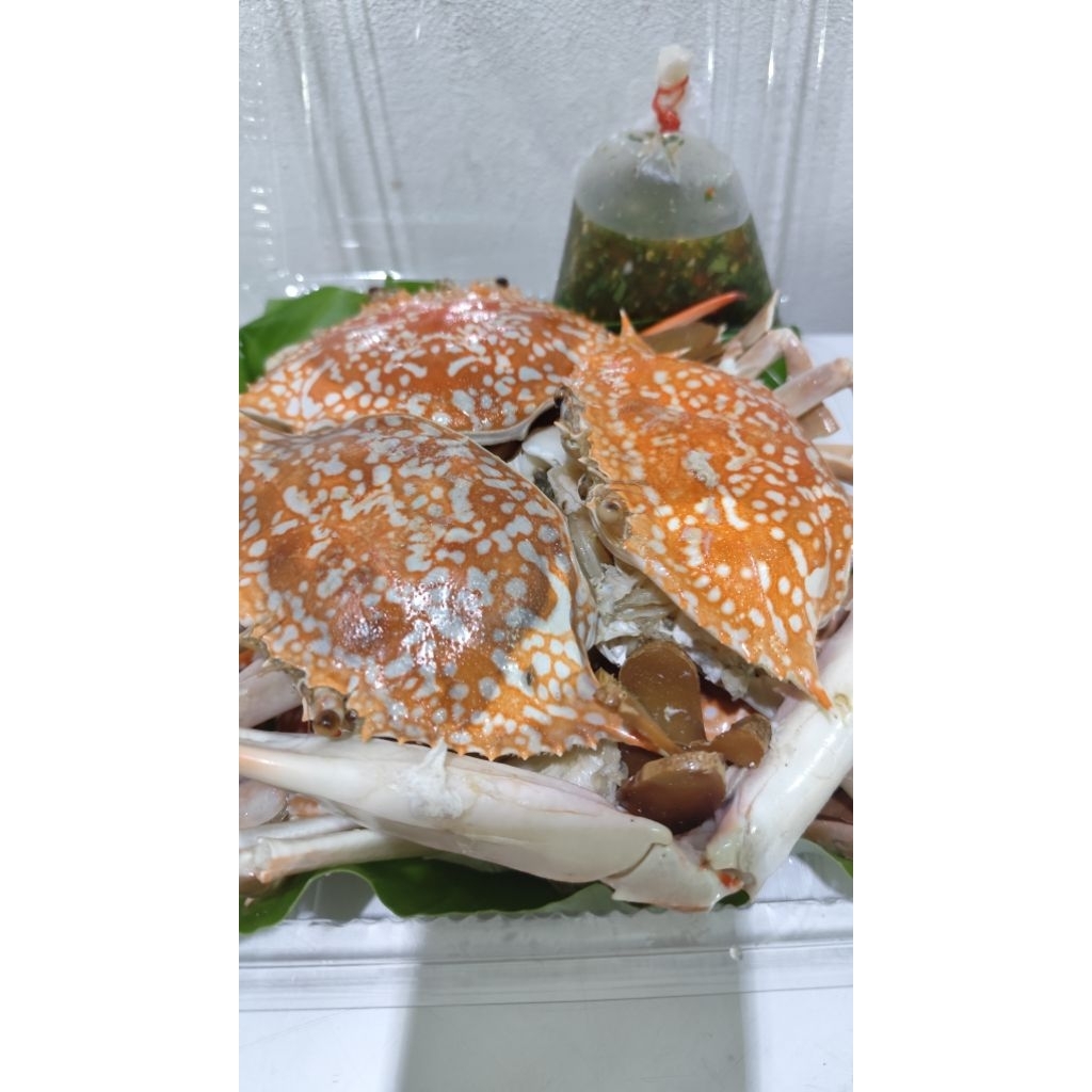 

Kepiting / rajungan / chi hai rebus cocol bumbu kim muk fan / kenanggi / masakan kalimantan