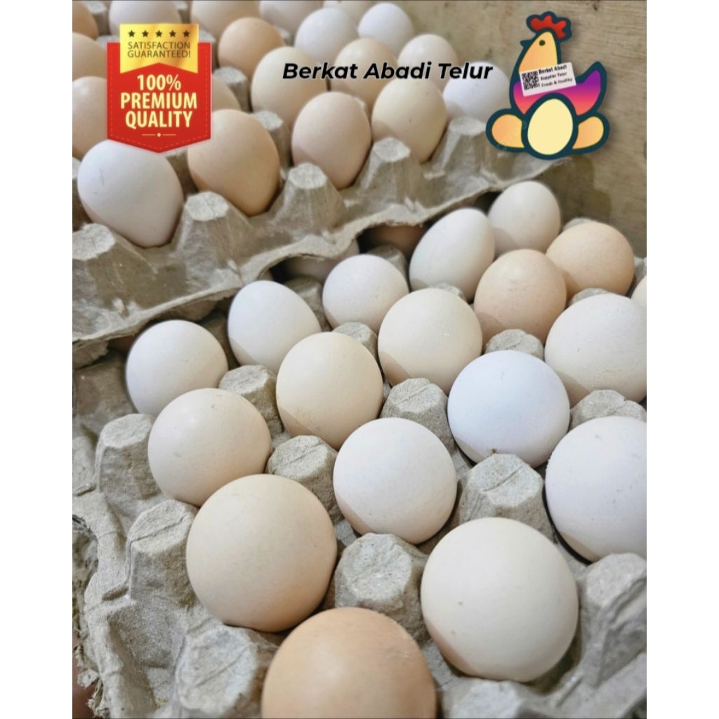 

Telur ayam kampung omega 3 per butir