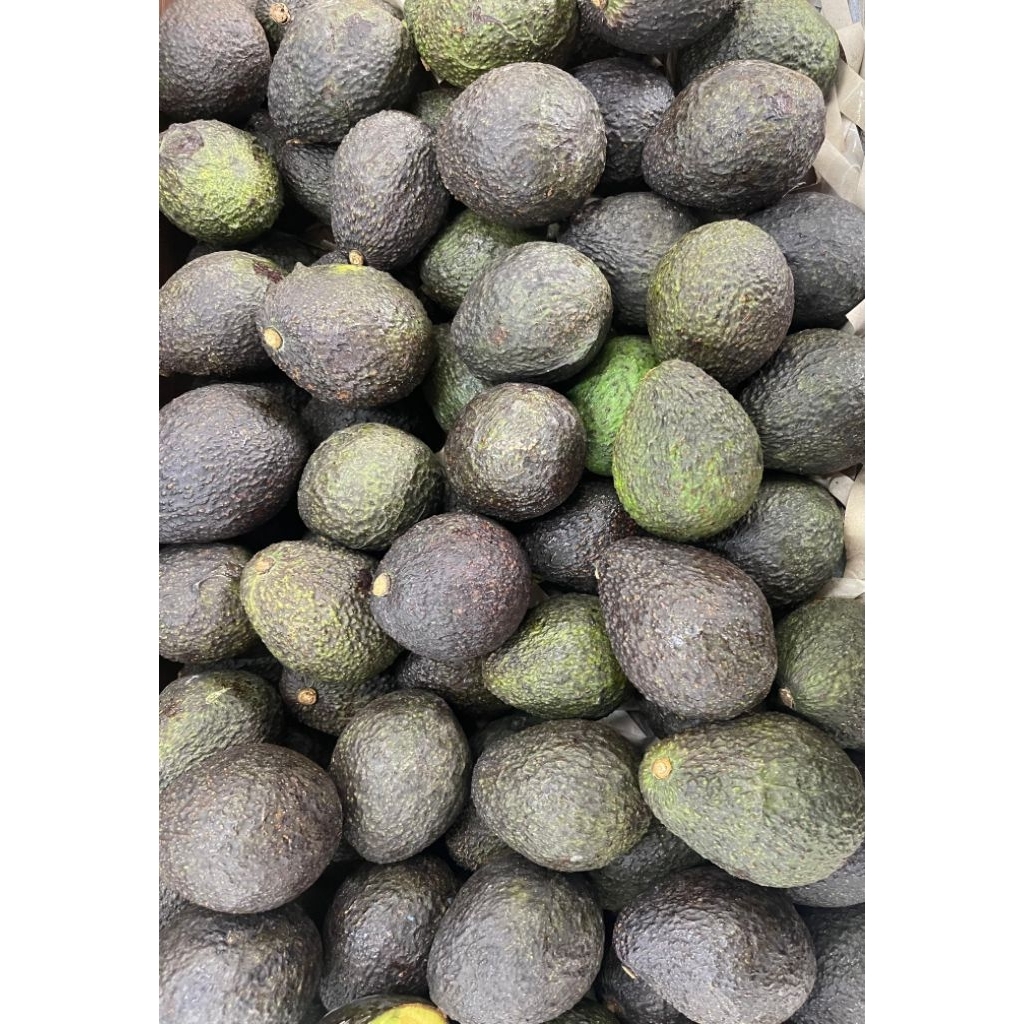 Alpukat Hass Fresh | Alpukat Hass Grade Premium 1 Kg