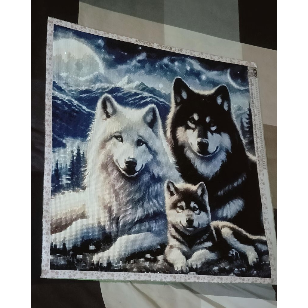 DIY 5D Diamond Painting Midnight Guardian 50*50cm (SUDAH JADI)*