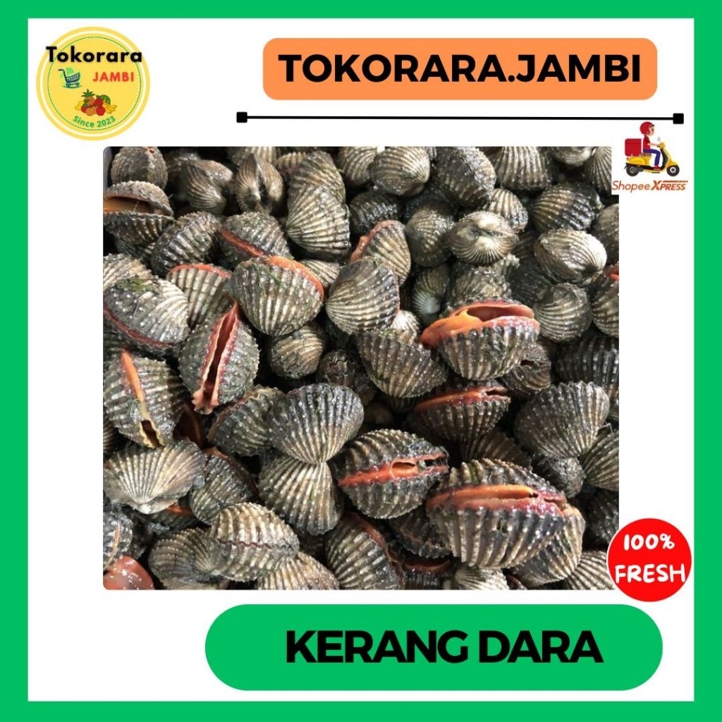 

Kerang Dara fresh-tokorara.jambi