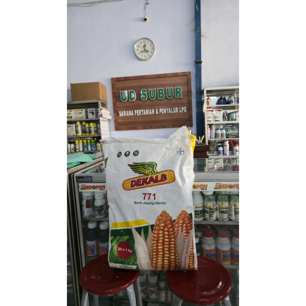 BENIH JAGUNG HIBRIDA, DEKALB 771 1 BOX (20×1kg)