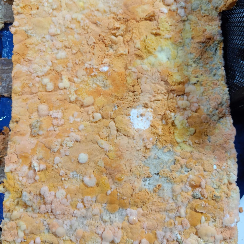 

Oncom merah 1 potong