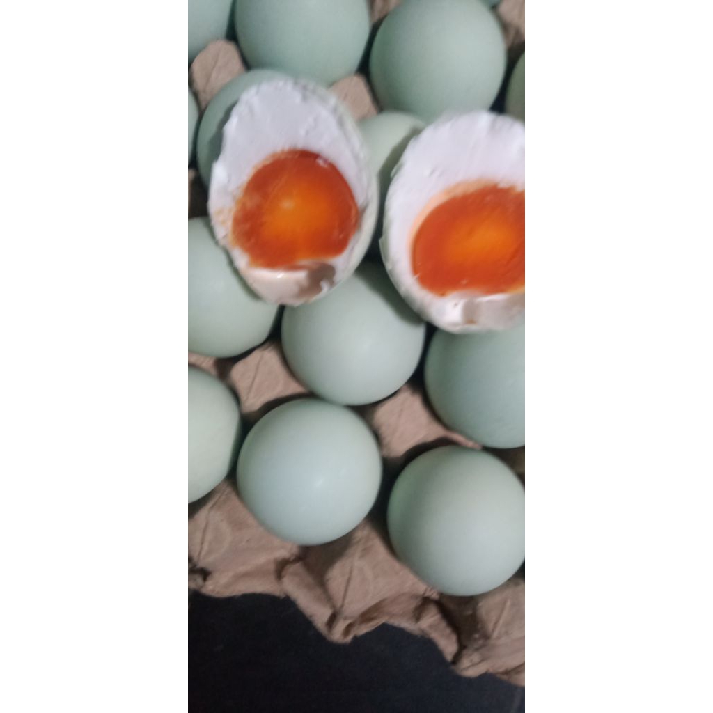 

(HALAL MUI) Telur Asin Masir Jogja Bersertifikat | Salted Egg | Telur Kamal Berminyak