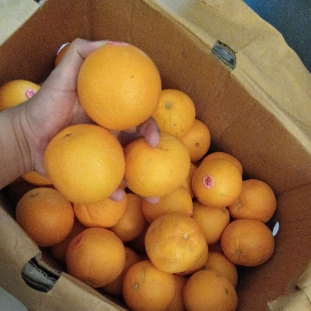 Jeruk Sunkist Cara Cara merah