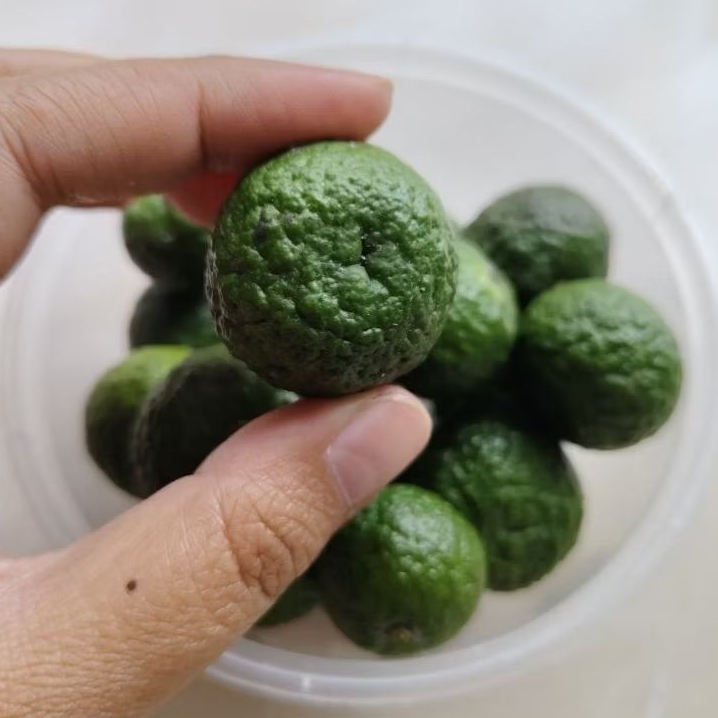 

Jeruk Limo/Limau (Jeruk Purut) 250Gram