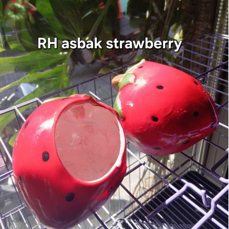 hiasan fiber RH ASBAK STRAWBERRY / RUMAH HAMSTER