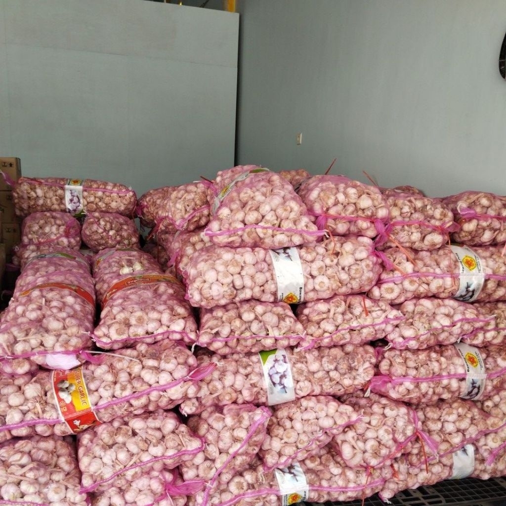 

bawang putih sinco fresh 1kg